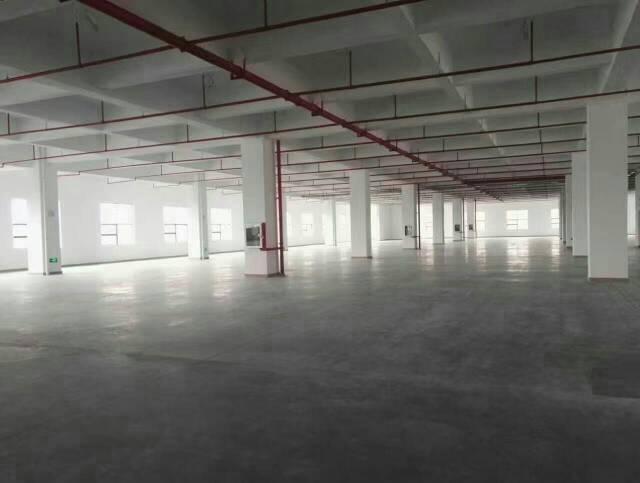 【龙岗厂房出租】龙岗有喷淋厂房1580平方出