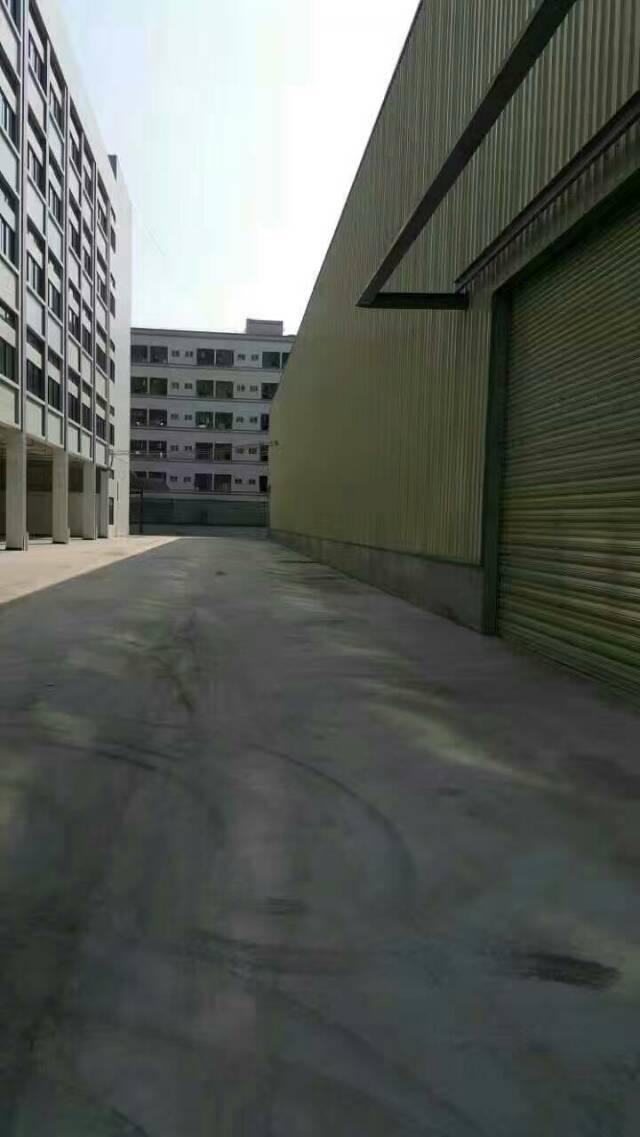 【长安厂房出租】全新专业仓储物流园1.单层2