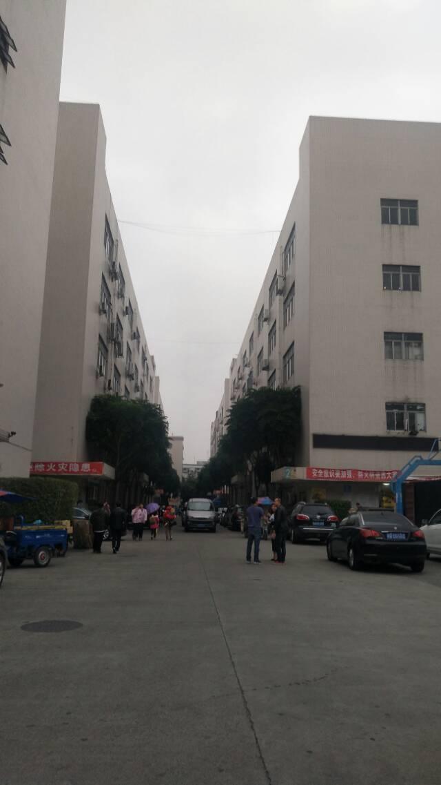 龙华大浪商业中心旁成熟工业区整层1300平方出租