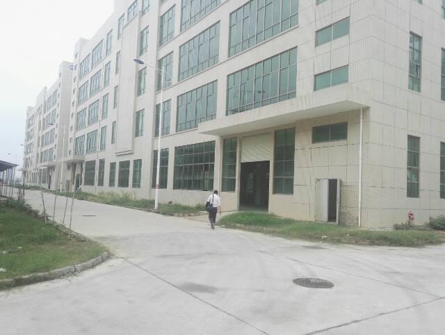 惠州博罗县园洲镇成熟工业区厂房出租_惠州博