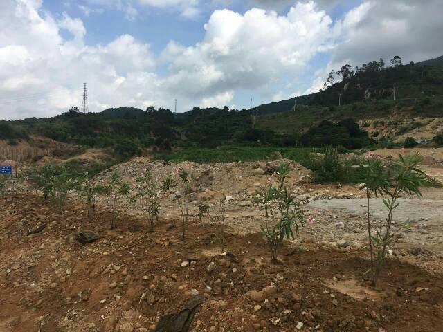 【东莞土地出售】清溪镇做驾校30000空地