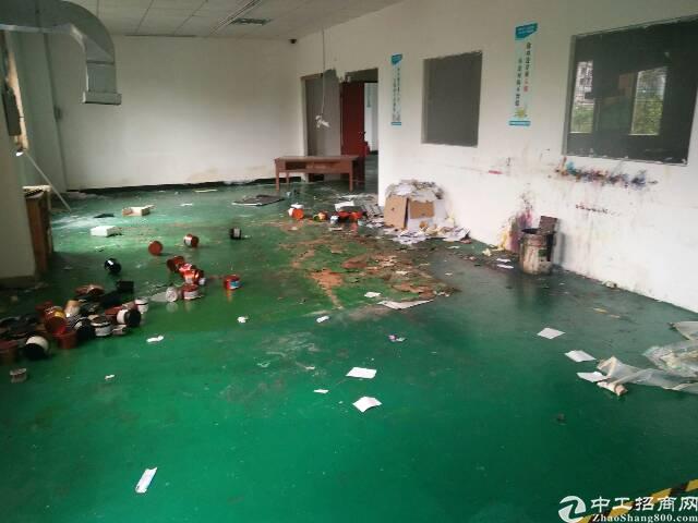 【清溪厂房出租】带有地喷漆的厂房,价格超低
