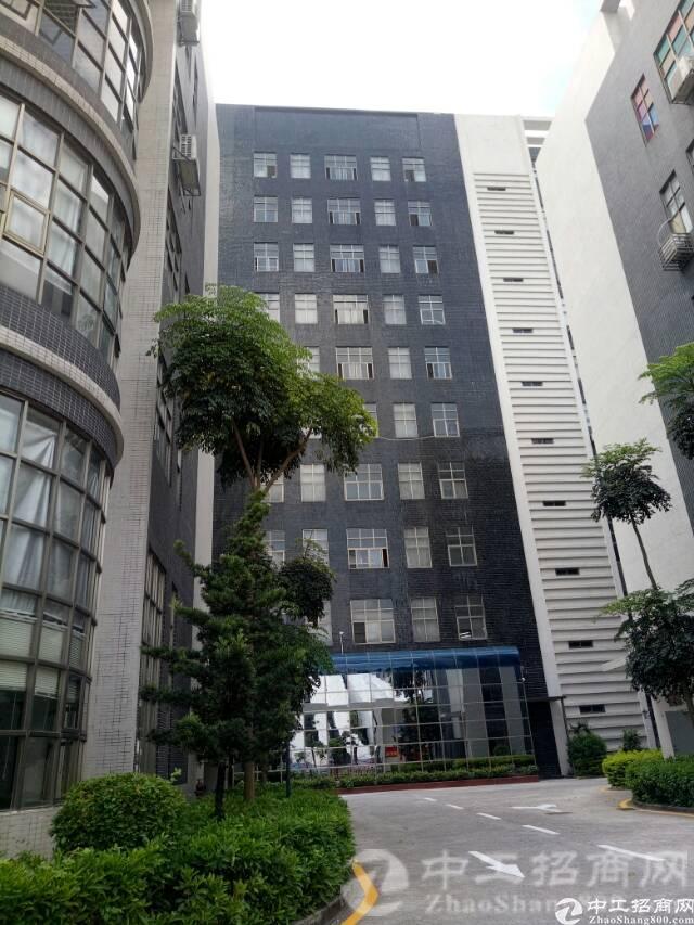 深圳厂房出租 宝安厂房出租 龙华厂房出租 > 龙华大浪服装基地新出