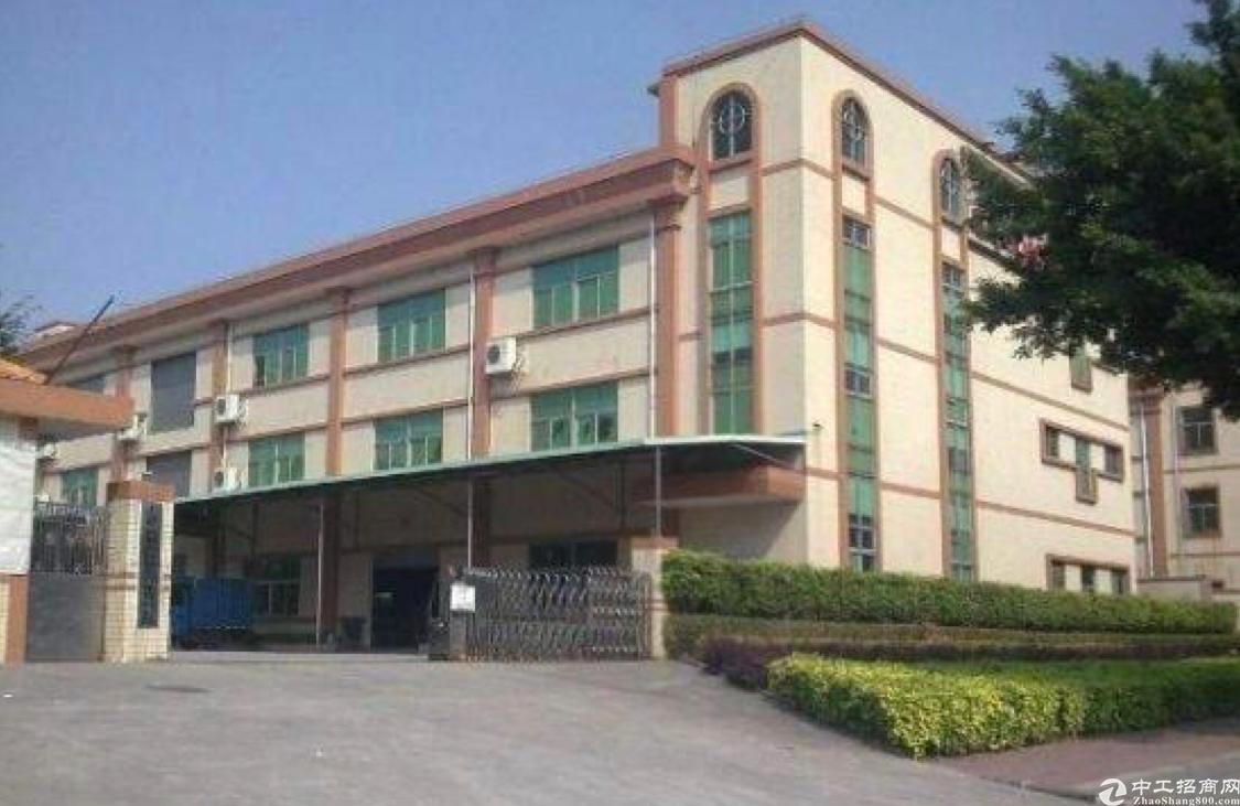 石排镇独门独院厂房招租