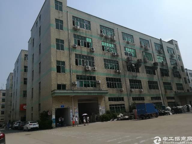 深圳厂房出租 宝安厂房出租 龙华厂房出租 > 龙华大浪浪口有带精装修