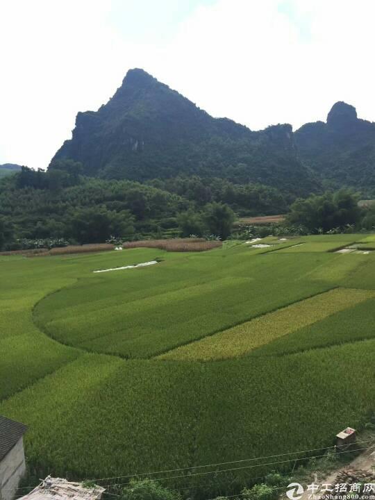 肇庆市红本工业用地出售