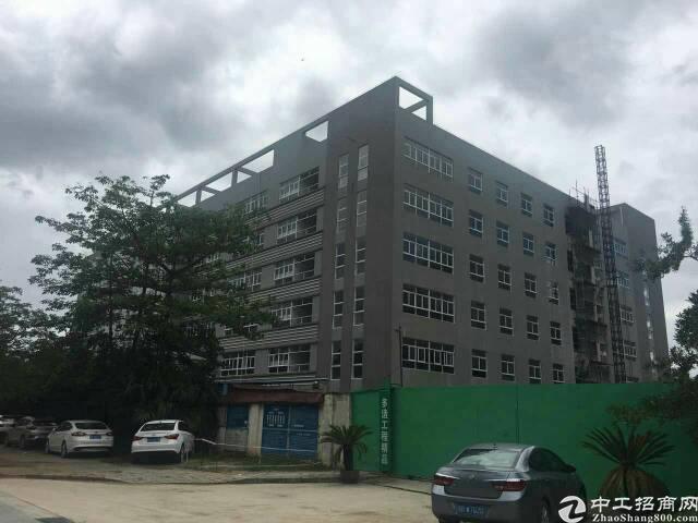 龙岗区宝龙比亚迪附近,全新厂房,国土证件齐全