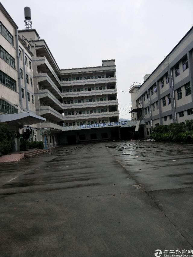 虎门白沙原房东厂房1-4f8800宿舍4200办公楼2000