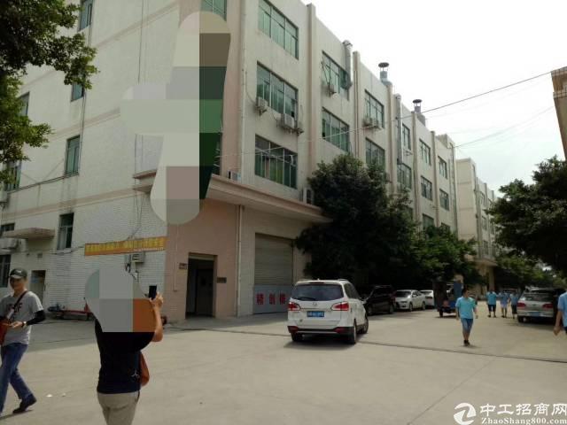 沙井东环路边德昌电机附近楼上680带装修招租