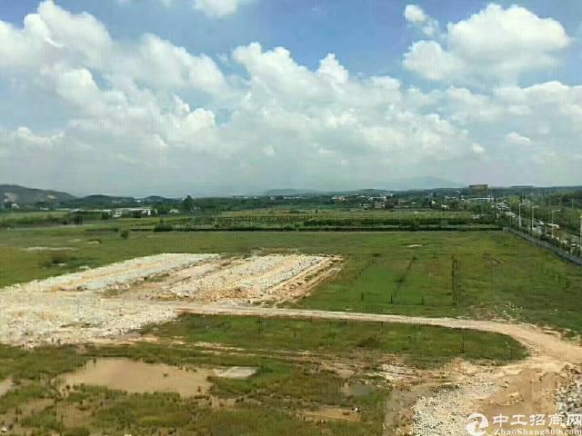 惠州区镇隆国有工业土地出售
