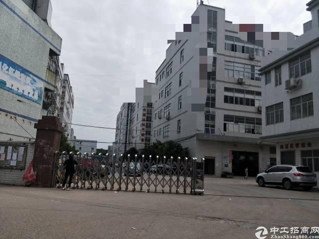 公明镇人口_罚200扣3分 公明人看到这条线,千万别停车 这里最容易中招...(3)