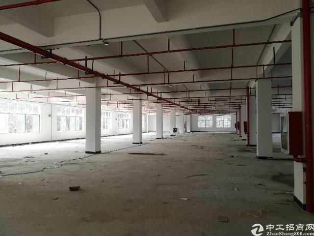 【沙井厂房出租】深圳莞佛高速出口全新红本厂