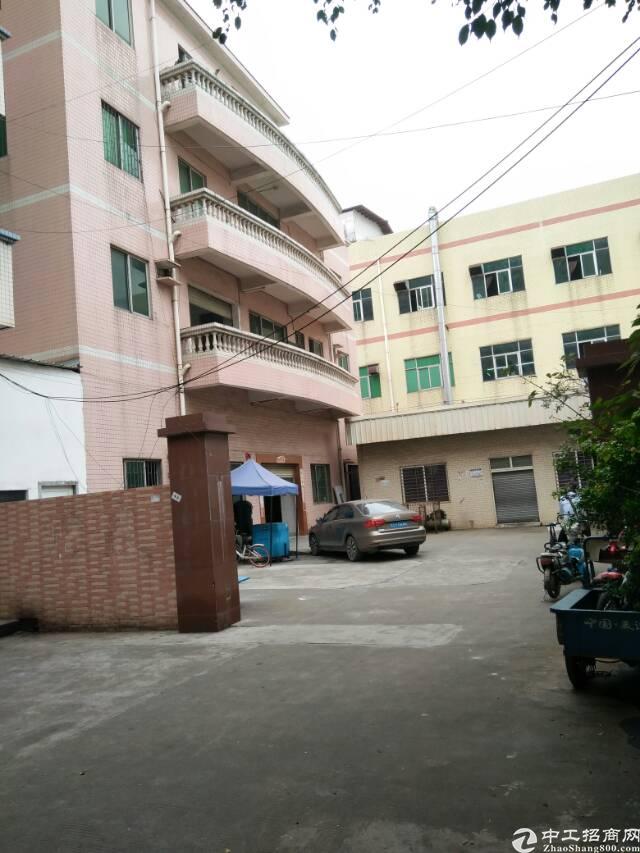 长安镇沙头独栋低价出租