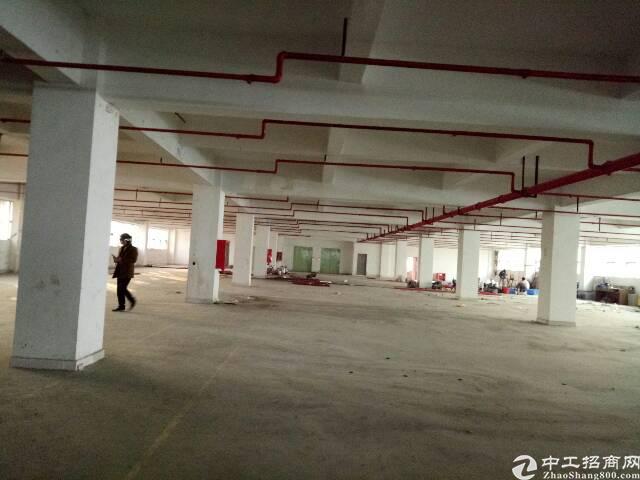 【沙井厂房出租】西部带消防喷淋厂房4500平