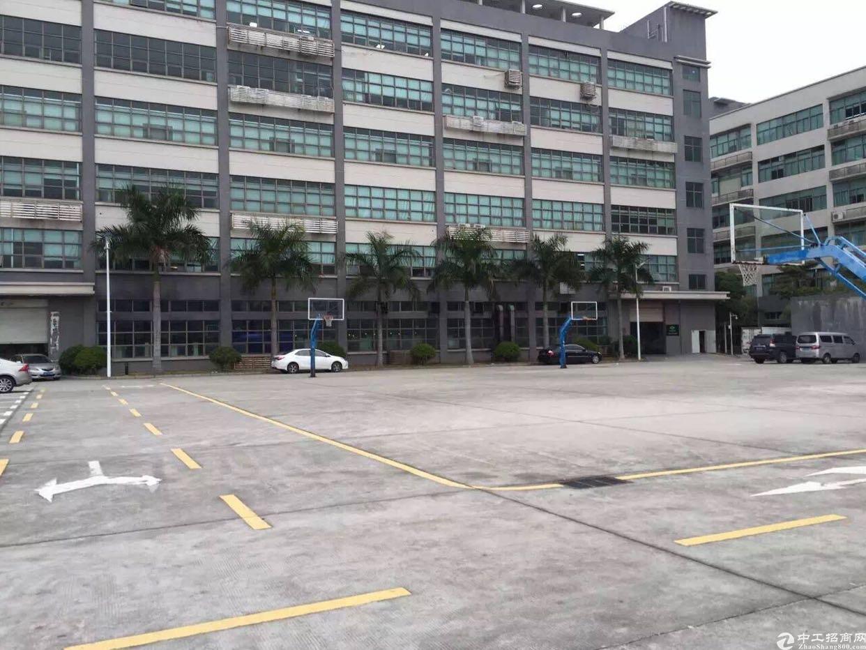 【深圳宝安写字楼出租】龙华大浪商业中心附近