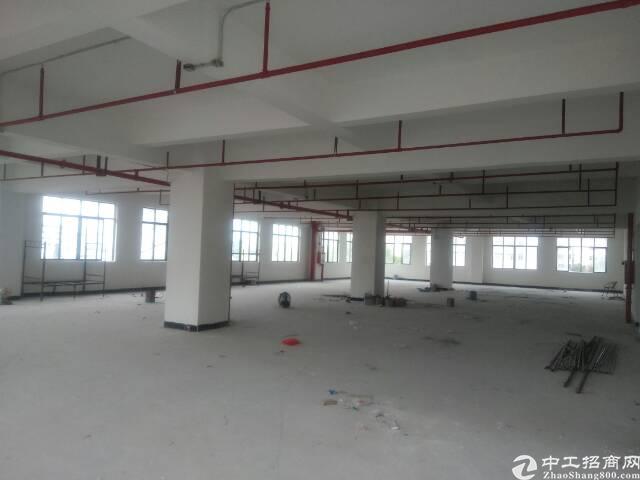 企石独栋厂房出租_企石厂房出租_企石厂房招