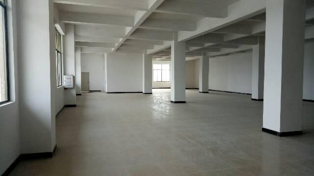 【新塘厂房出租】广州新塘镇新出原房东独院带