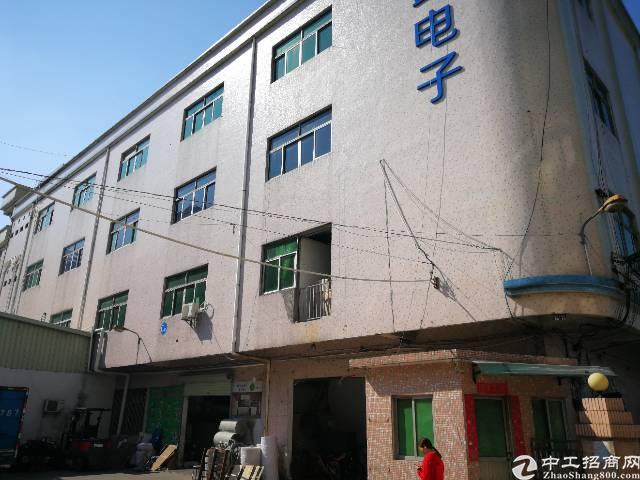 「大岭山厂房出租」石大路边上原电子厂独院整栋招租