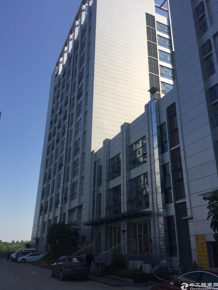 【深圳龙华写字楼出租】龙华大浪服装基地高大上办公