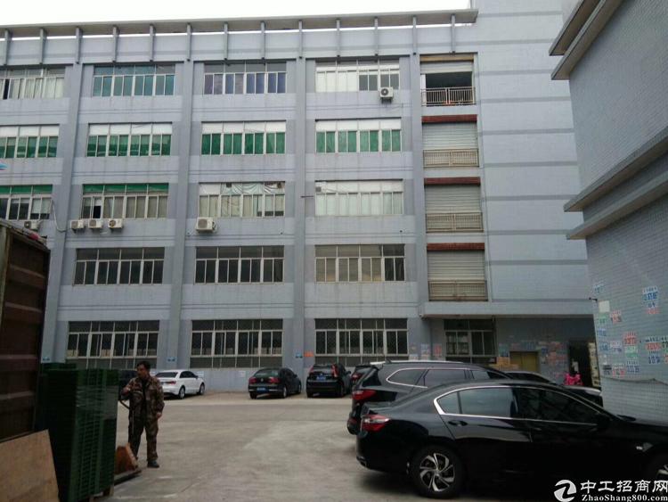深圳厂房出租 宝安厂房出租 龙华厂房出租 > 龙华大浪服装基地附近