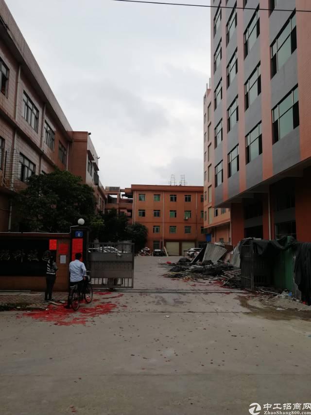 沙高铁站附近新出全新重工业厂房单层面积800平方