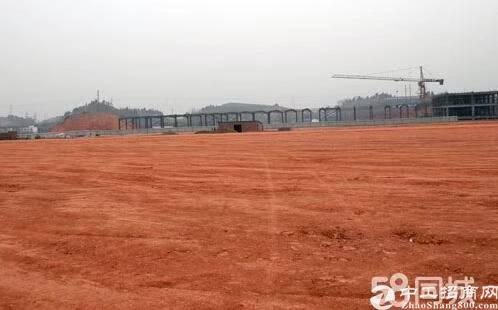 广东省江门工业用地出售单价35万一亩