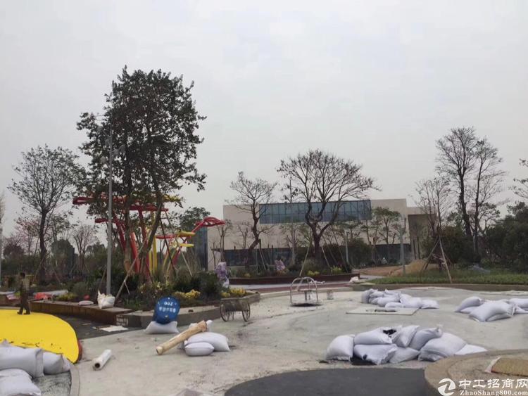 【松岗厂房出租】广东省江门市30亩国有工业