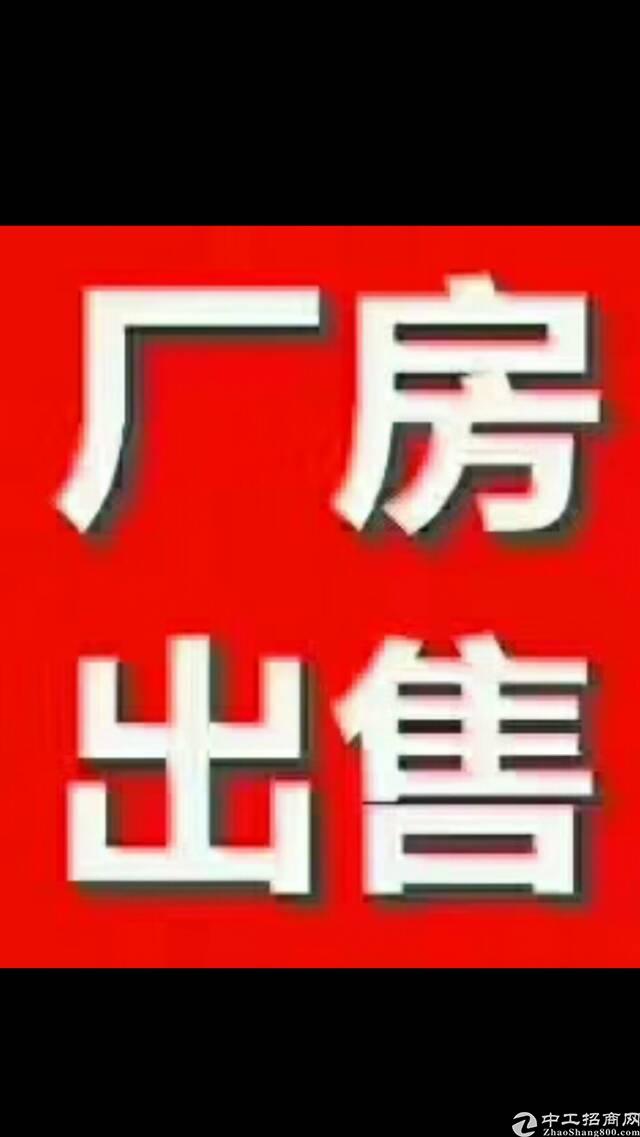 石碣厂房出售