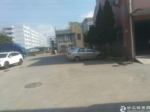 陈江镇标准厂房