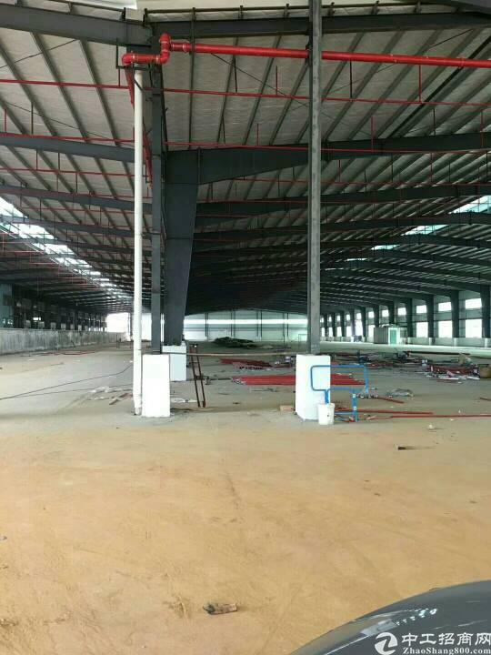石排全新带消防喷淋钢结构独院厂房,高度9米,面积16000