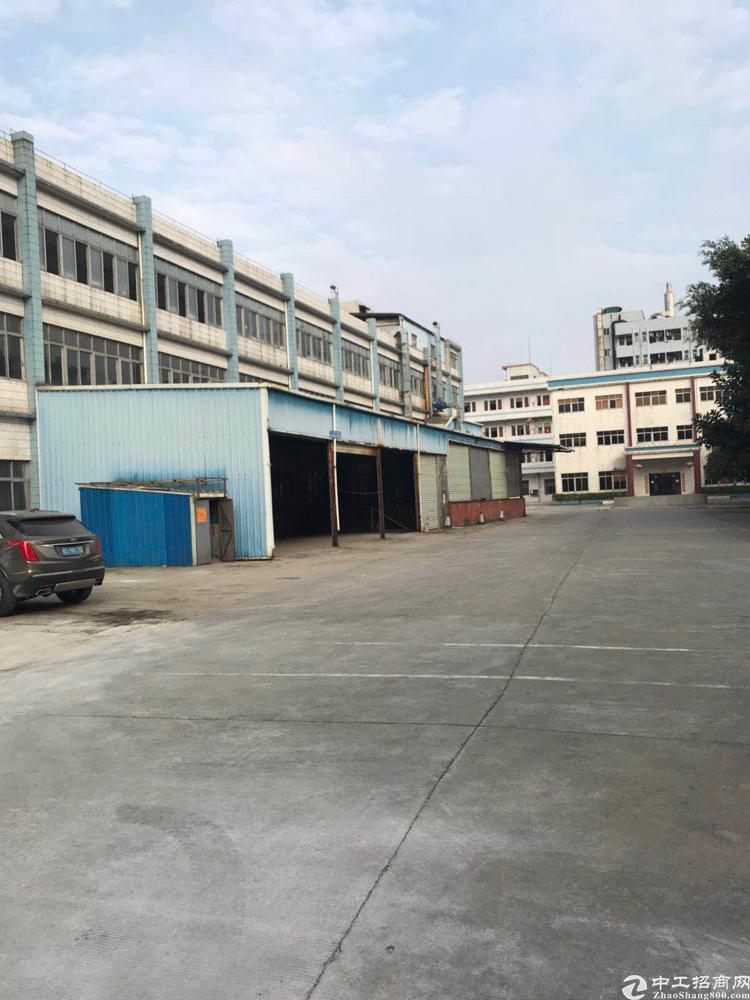 大岭山新出厂房炉石小学生图片