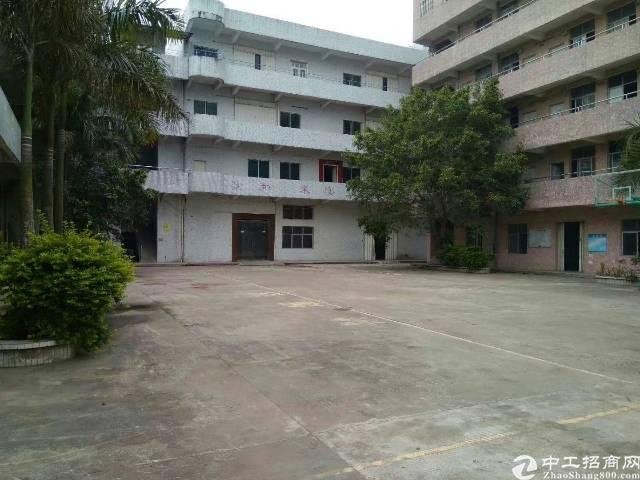陈江镇标准厂房