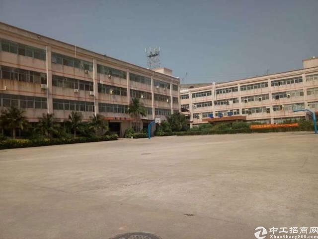 横岗独院带红本厂房带豪华装修出售