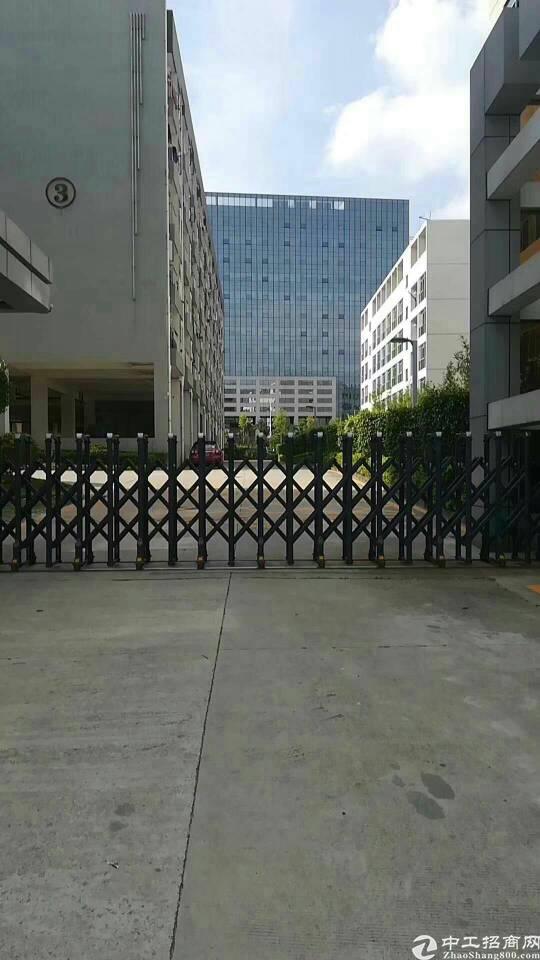 深圳厂房出租 宝安厂房出租 龙华厂房出租 > 龙华新区大浪服装基地新