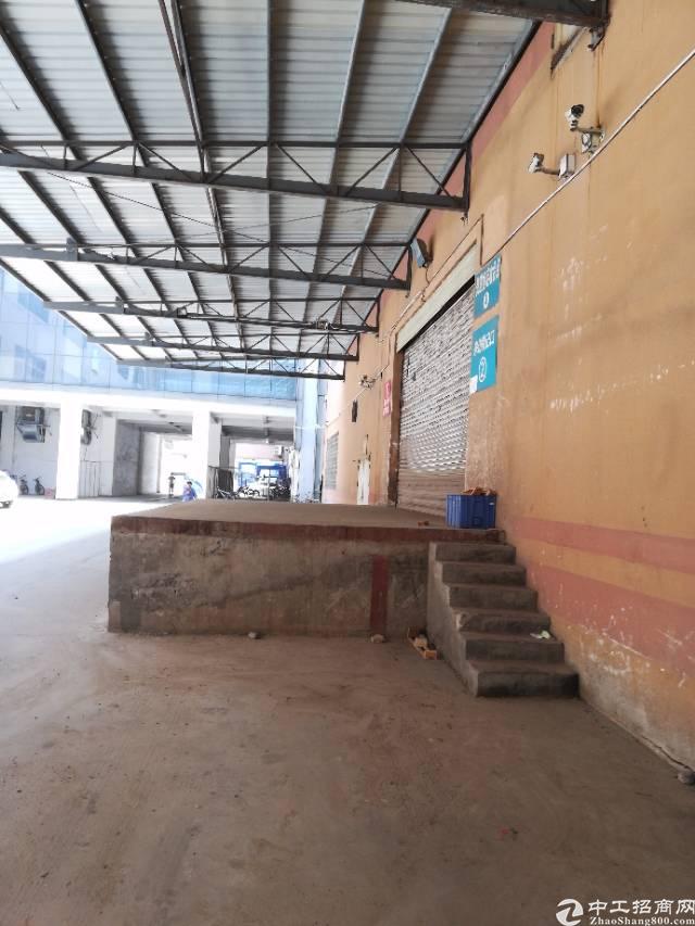 【长安厂房出租】长安新出靠近深圳大型物流丶