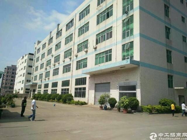 【龙华厂房出租】龙华大浪布龙路边龙大高速出