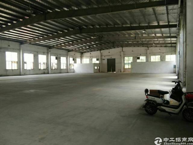 惠城区小金口新出钢构仓库出租6500平可分租，滴水九米，