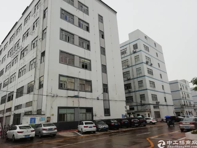 深圳厂房出租 宝安厂房出租 福永厂房出租 > 福永怀德新村原房东独门