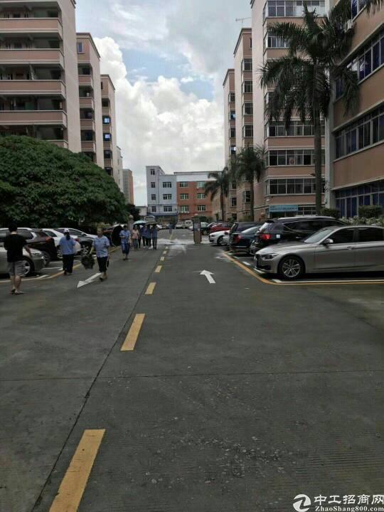 布吉丹竹头工业区2000平厂房大小分租