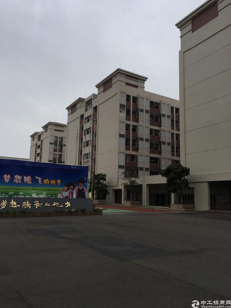 仲恺高新区陈江镇厂房出租
