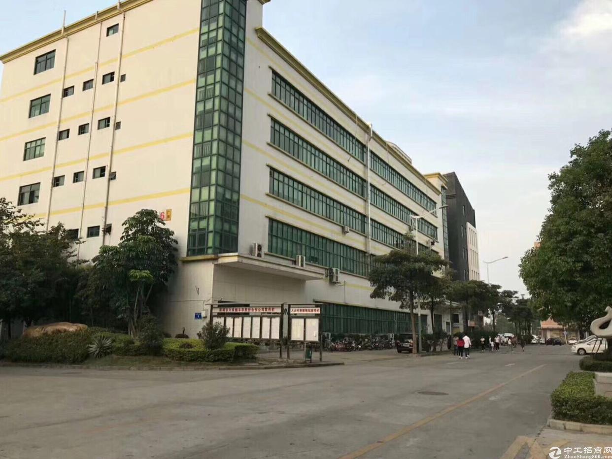 深圳厂房出租 宝安厂房出租 龙华厂房出租 > 龙华大浪新出独院厂房