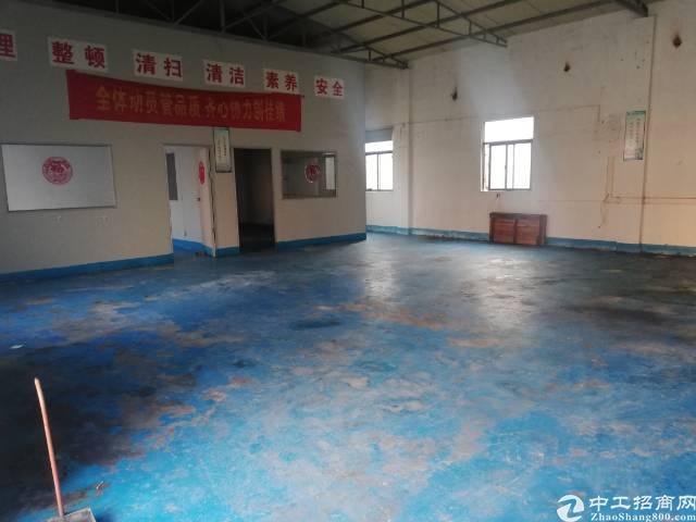 惠州惠城区小金口新出铁皮房250平方适合仓库以及小加工