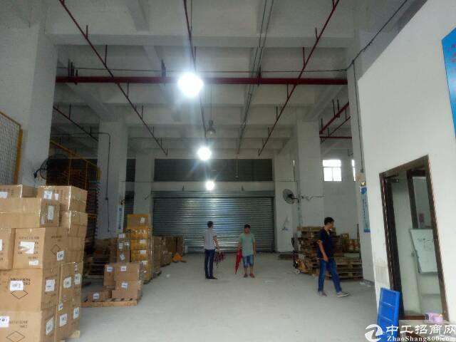 华南城附近新出1100平带卸货平台标准仓库