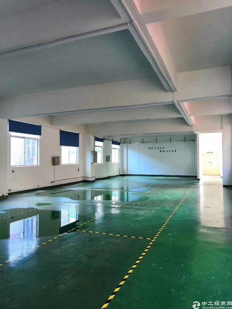 中心路210平米办公贸易场地出租