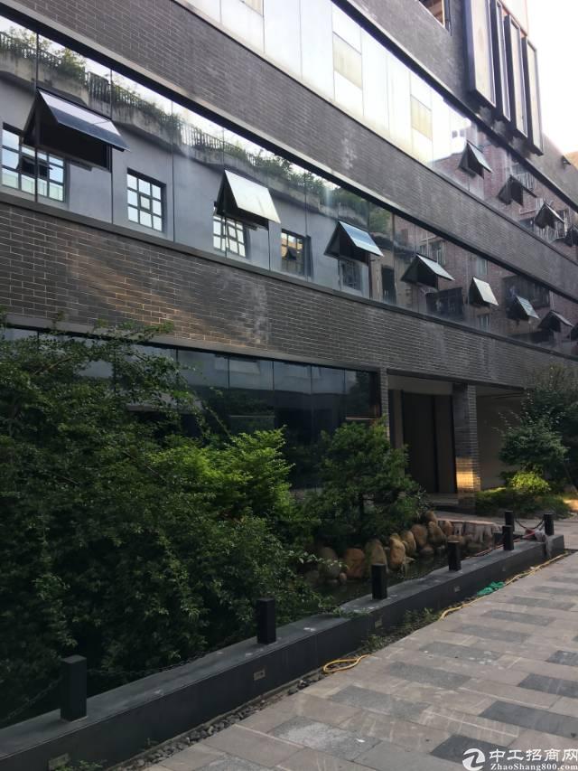 坪山坑梓街道新出形象高大上460平办公室出租