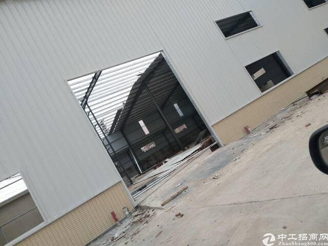 惠州新建成钢结构厂房出租仓库出租
