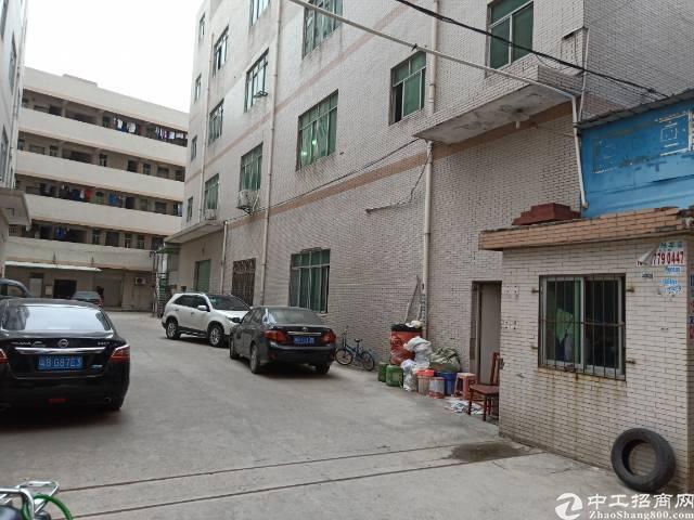 惠阳新圩1楼厂房出租