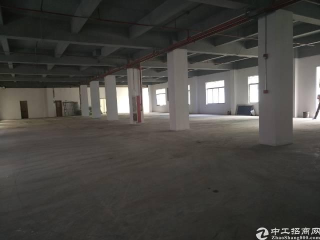 龙华民治梅林关高速路口一楼8米高厂房仓库4500平