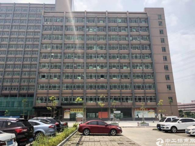 横岗六约地铁站平价写字楼出租