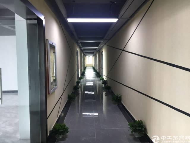 横岗六约地铁站平价写字楼出租